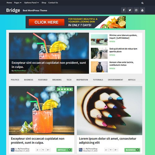 MyThemeShop-Bridge-WordPress-Theme Bridge WordPress theme, - Image 1